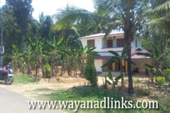 15 cent plot with 2700 sq.ft house