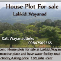House plot for sale in Lakkidi Wayanad