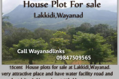 House plot for sale in Lakkidi Wayanad