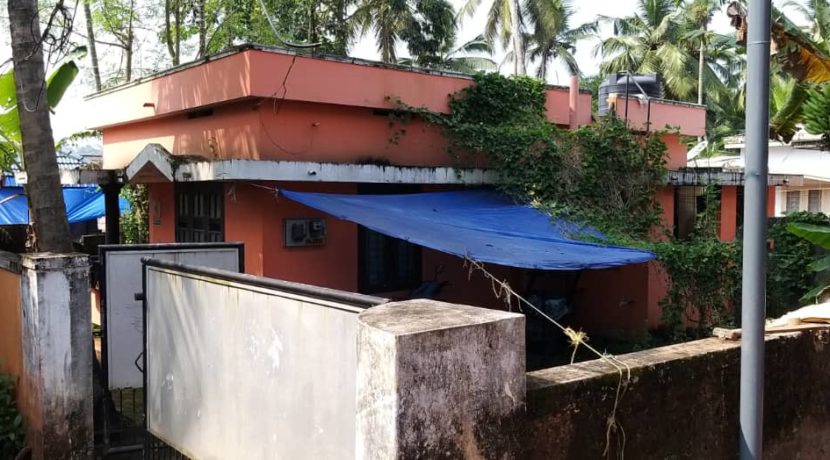 WhatsApp Image 2019-11-18 at 21.42.30