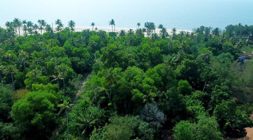 acf79f35-61a3-44a9-b15a-777dbe868076