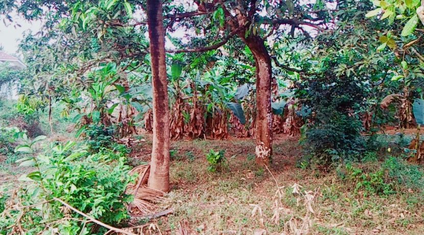 6EBDE47D-97A7-448D-9F3F-553810F5B65A