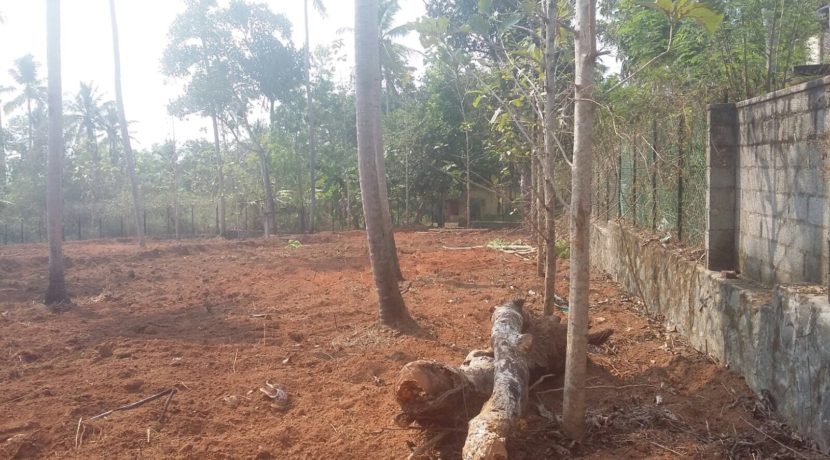 01C54F4C-B85B-4A22-A61A-562D7233A6C7