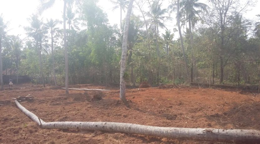 8CCDEF27-A2AF-4D57-9746-AC53A5680A8D