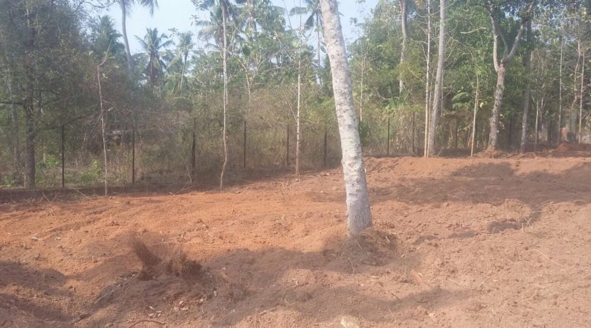 EA9C0D7D-31E4-4771-BC16-4BB2595C316A