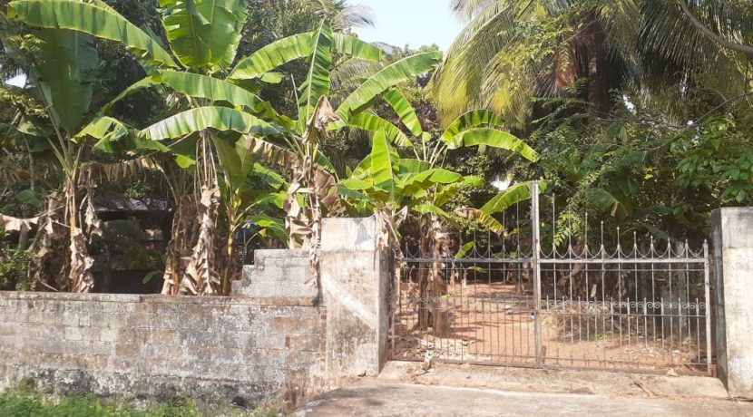 PHOTO-2020-03-03-15-57-19