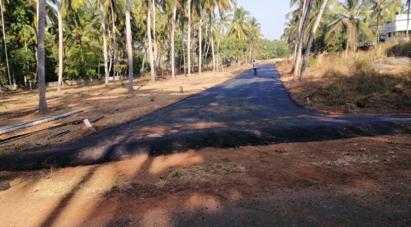 PHOTO-2020-03-08-14-45-25 (1)