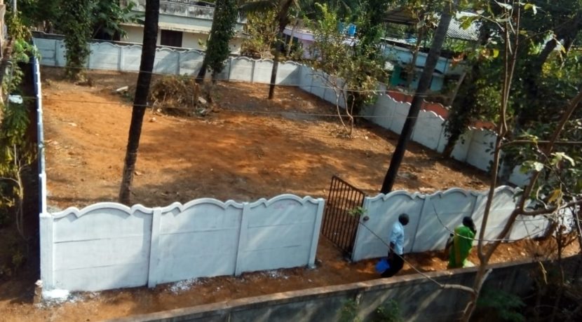 WhatsApp Image 2020-03-24 at 1.19.18 PM