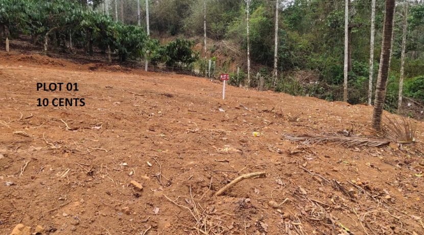 Plot 01