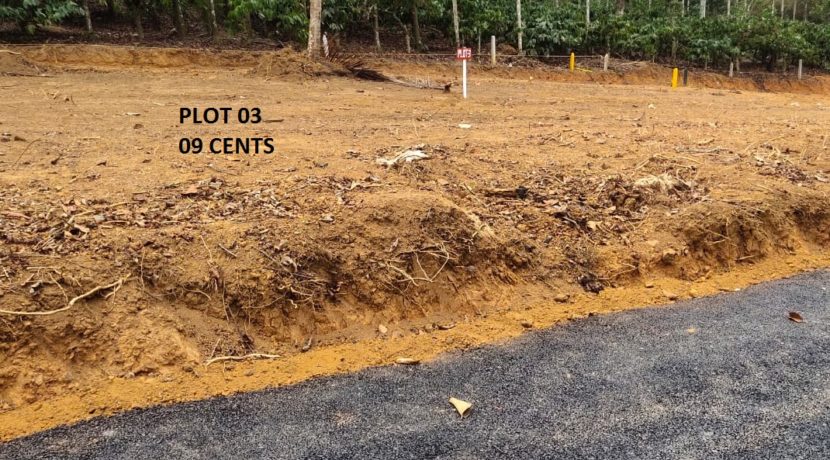 Plot 03