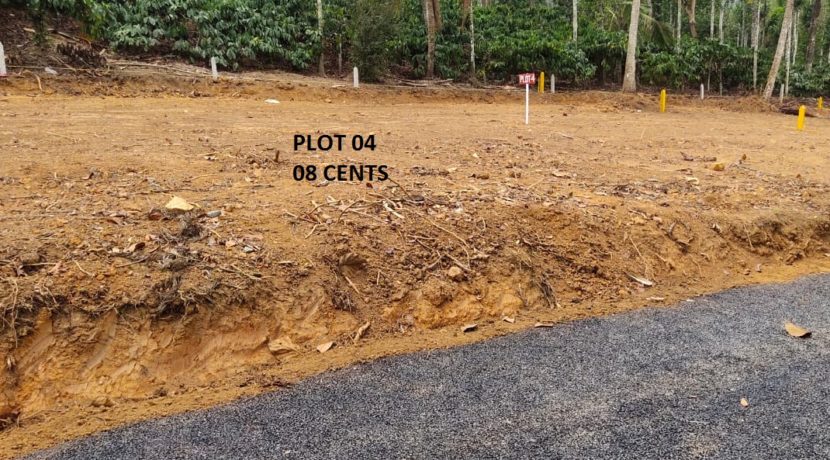 Plot 04