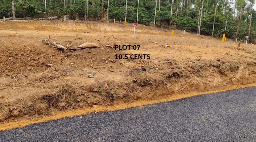 Plot 07