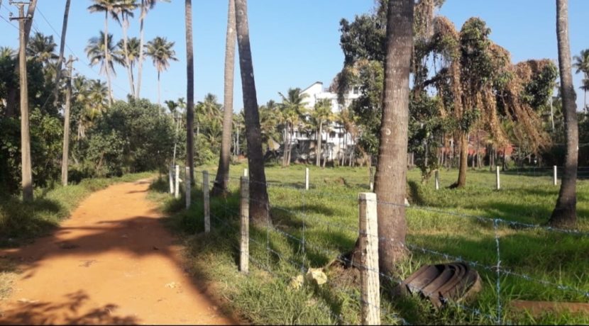 IMG_20200619_225423[1]