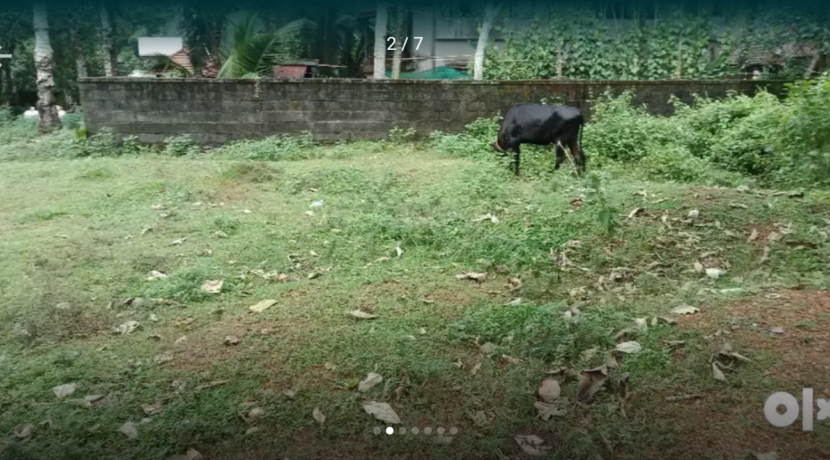 Screenshot_2020-06-07-19-00-00-93