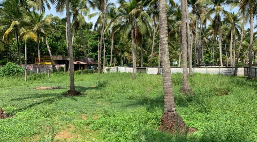 WhatsApp Image 2020-05-30 at 8.55.12 PM