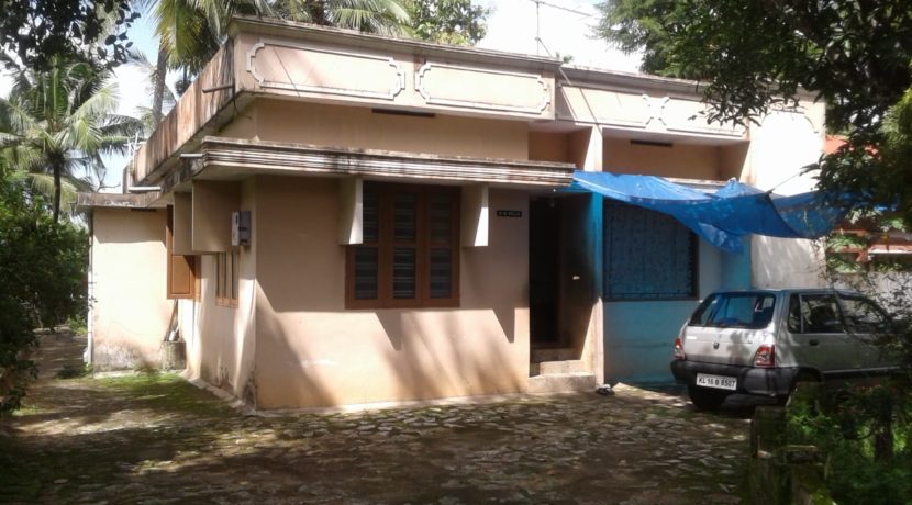 WhatsApp Image 2020-06-18 at 1.19.57 PM