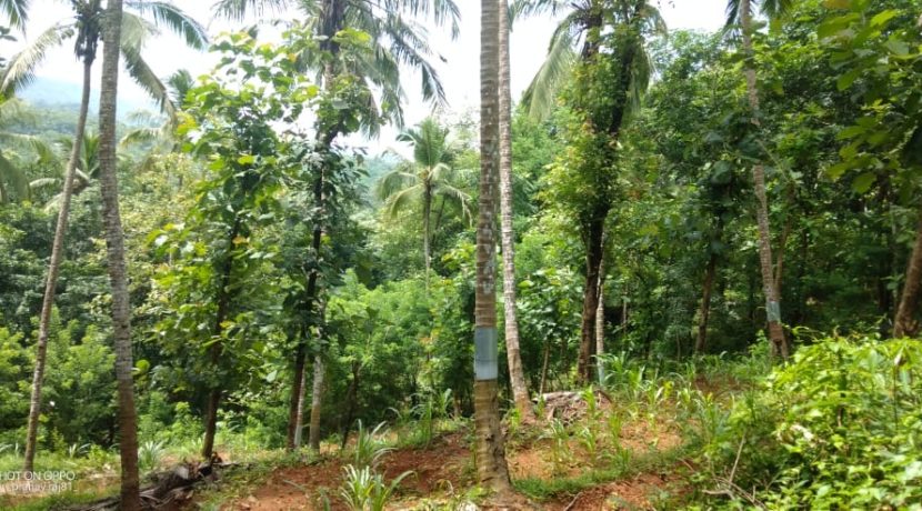 5e822104-a623-4642-af73-18bd9d1a3fdb