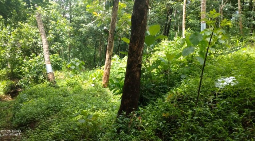 61e989be-3579-4409-9bf5-1b14e8294693 2