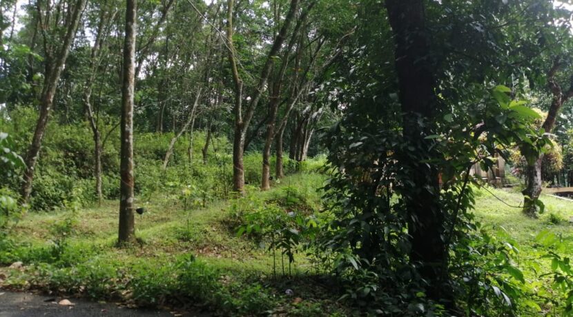 WhatsApp Image 2020-08-01 at 12.05.32 AM