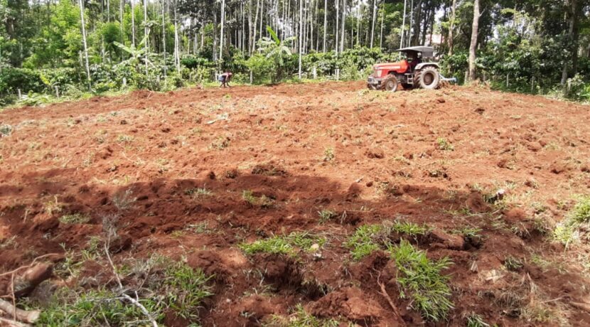 WhatsApp Image 2020-07-14 at 4.00.24 PM