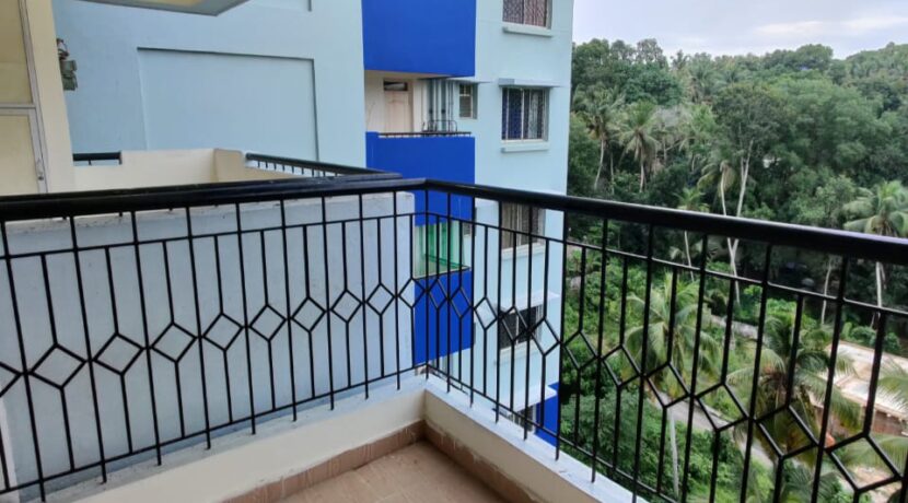 WhatsApp Image 2020-07-23 at 18.25.10 (2)