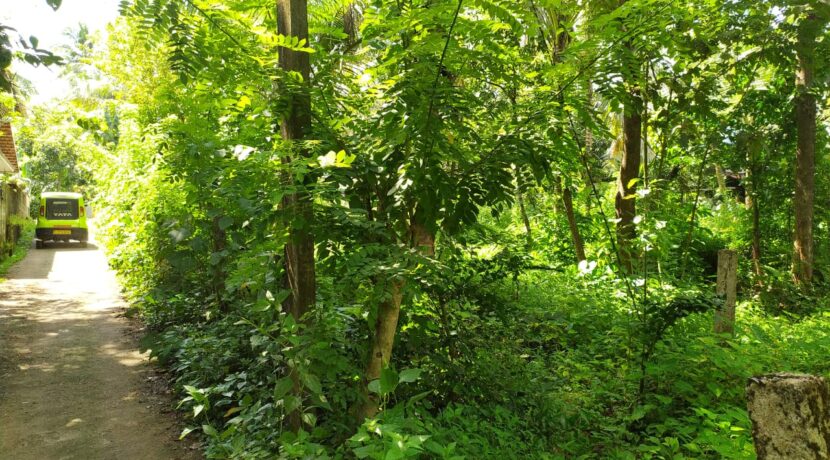 WhatsApp Image 2020-09-27 at 2.59.21 PM (1)