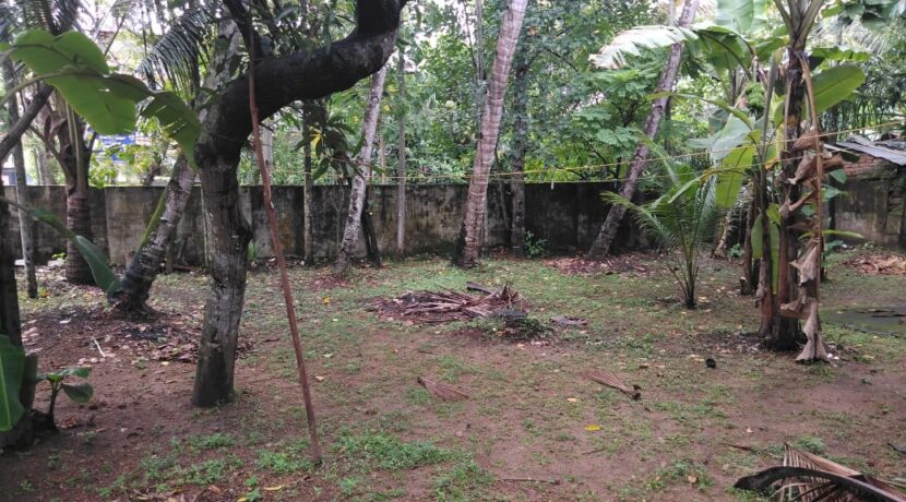 a459eb37-c605-492b-9f8f-bdc0b43a46f1