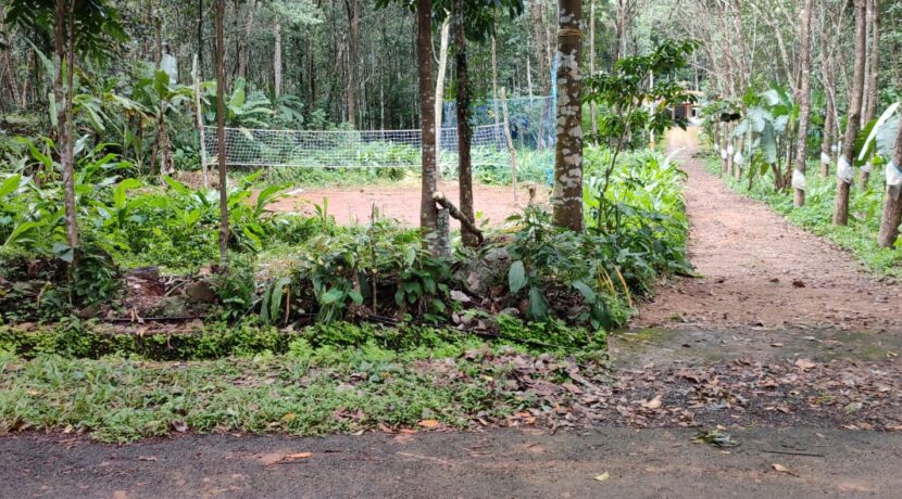 WhatsApp Image 2020-10-15 at 5.20.00 PM