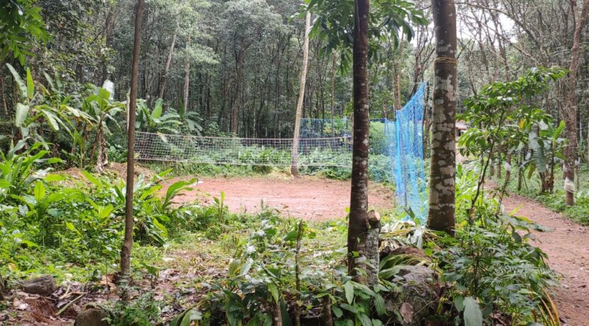 WhatsApp Image 2020-10-15 at 5.24.19 PM