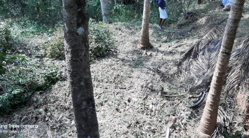 06ee6b30-97b0-46bd-858c-a0f8f1ff8c5e