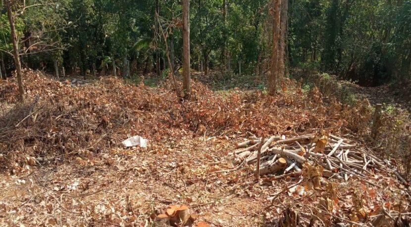 221916911O-1582559017997