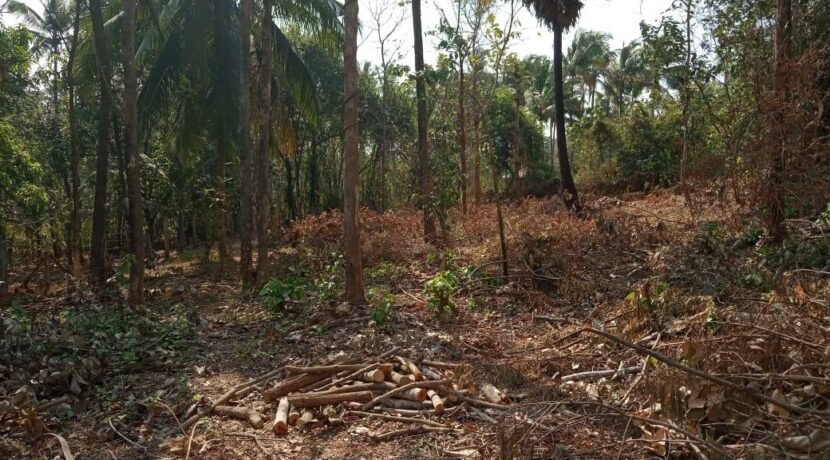 221916951O-1582559055859