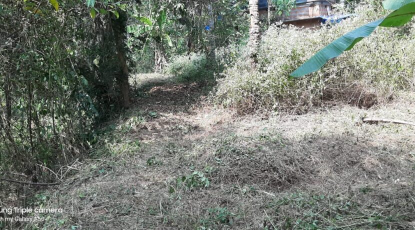 66c221ee-9510-437e-a7a9-d3f1070db93c