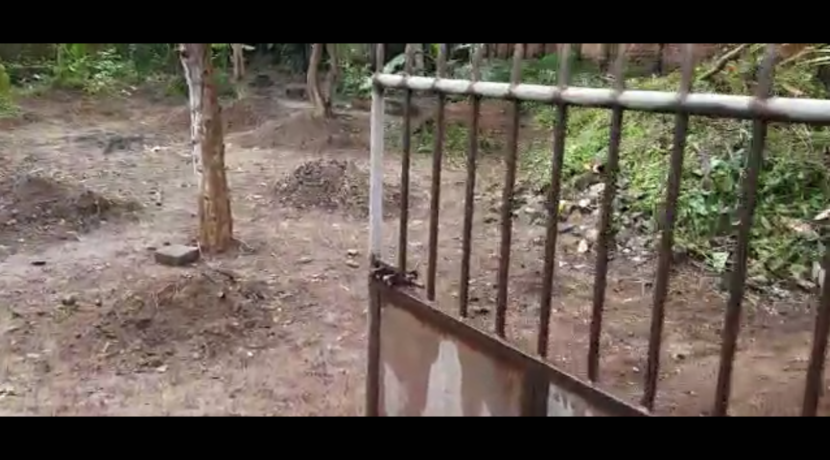 255FE8B2-4194-40CC-8D6E-89DC95445B81