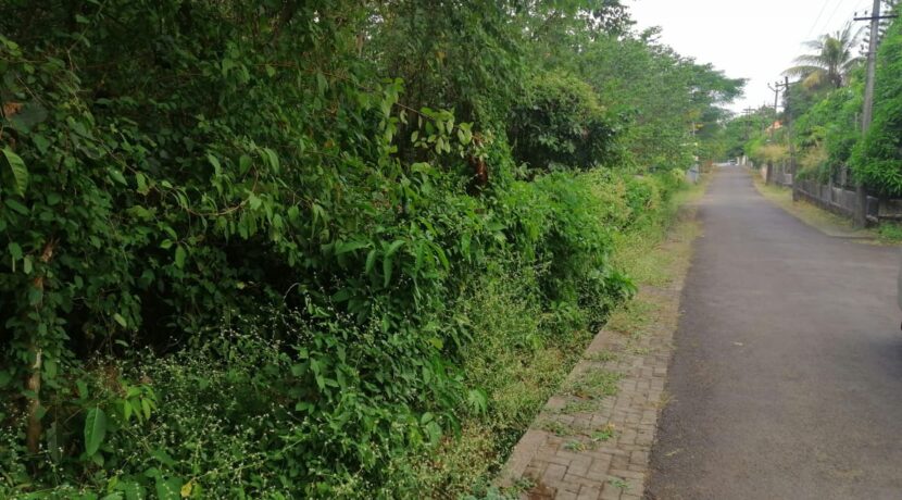 4ed2f60c-10c8-490c-8b97-f9dc2d6771ed