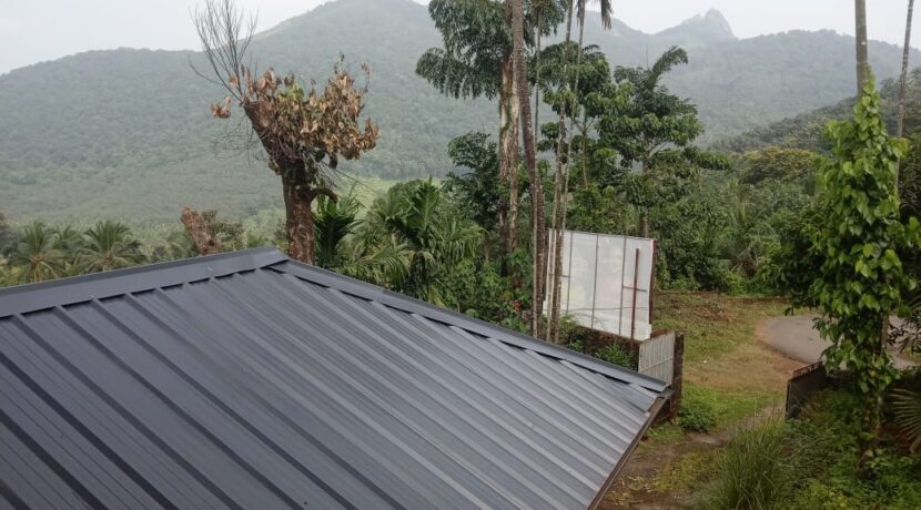 WhatsApp Image 2020-10-28 at 11.43.03 AM