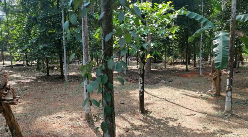 aa812be7-9a76-4f24-be40-976a2355c43f (1)