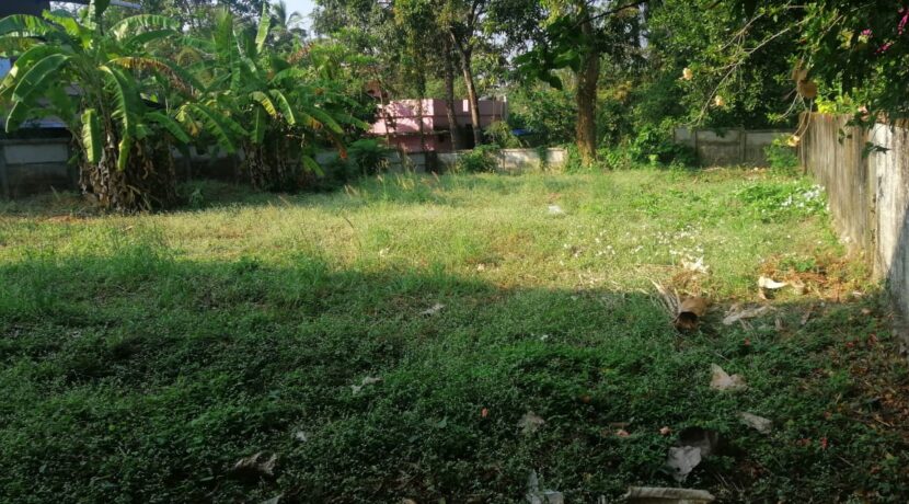 c955b11d-5b82-4482-8db0-0a5ba5f4f68e