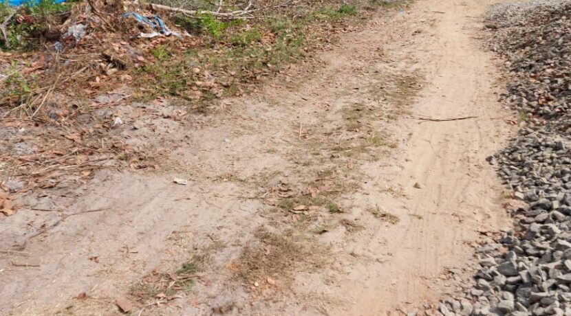 WhatsApp Image 2021-02-08 at 12.56.56 PM