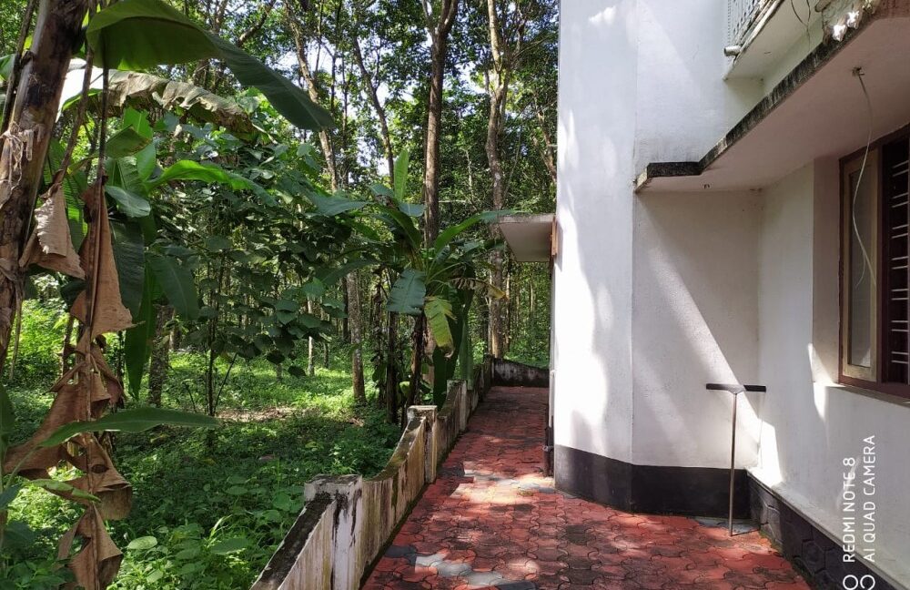 0e32adb3-61a9-4602-b818-8ca83c3d843d (1)