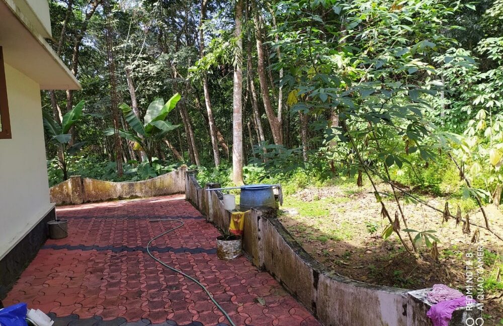 f80a0788-ade2-40fa-9195-4e22f19438ed (1)