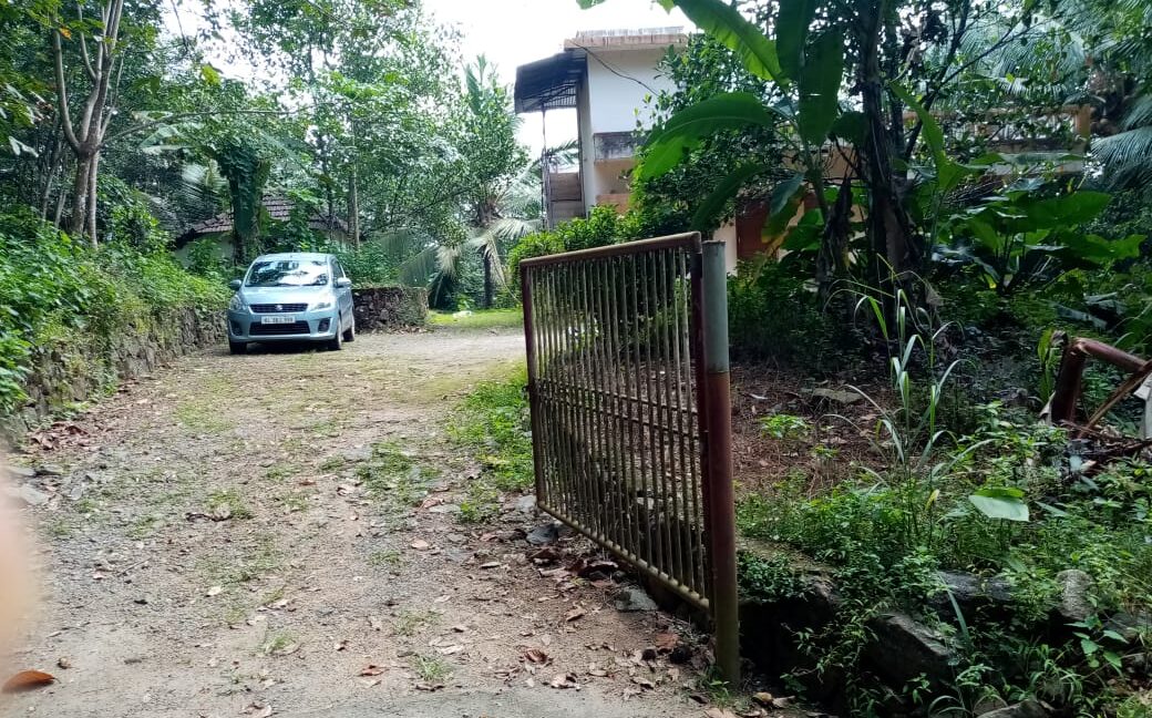 PHOTO-2019-11-03-12-00-40