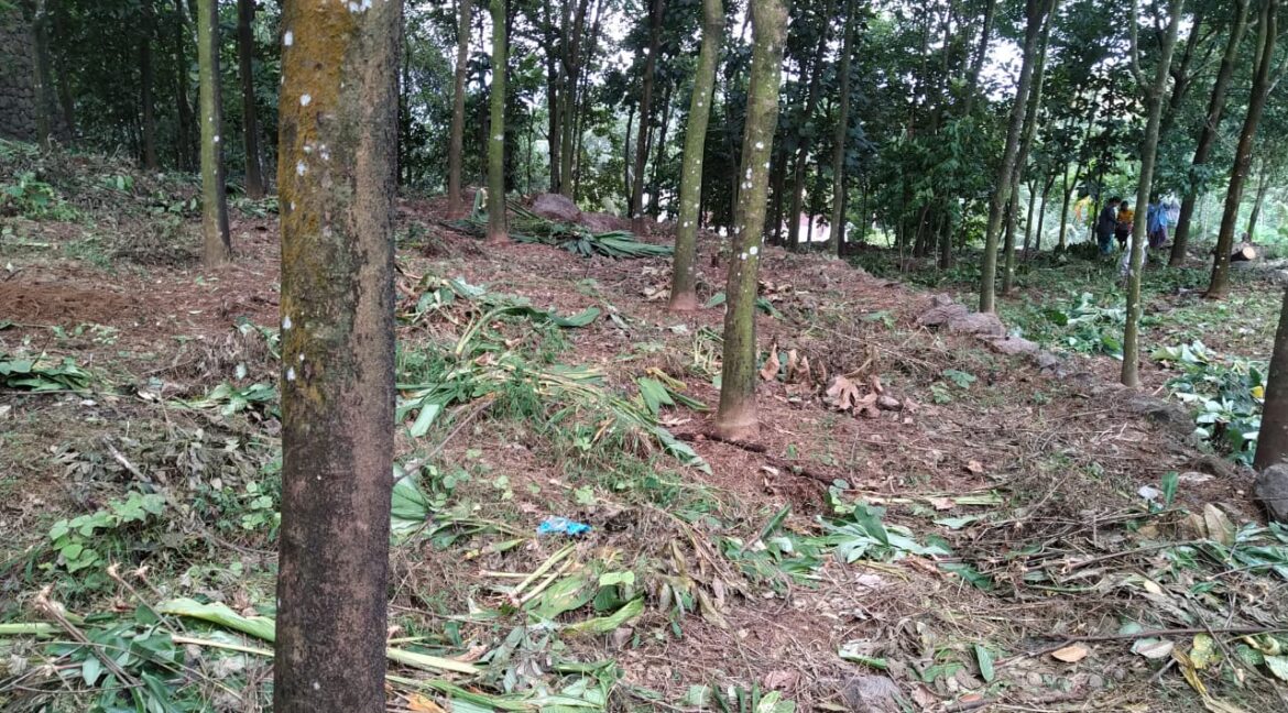 PHOTO-2021-06-18-09-13-43