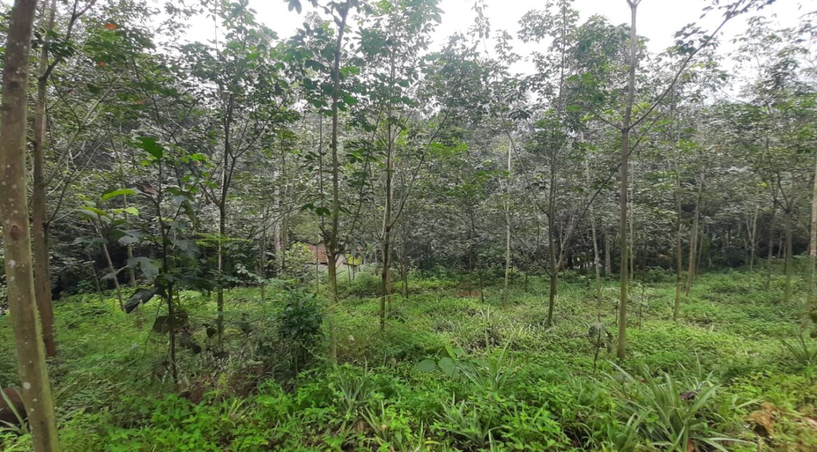 WhatsApp Image 2022-08-23 at 12.15.31 PM