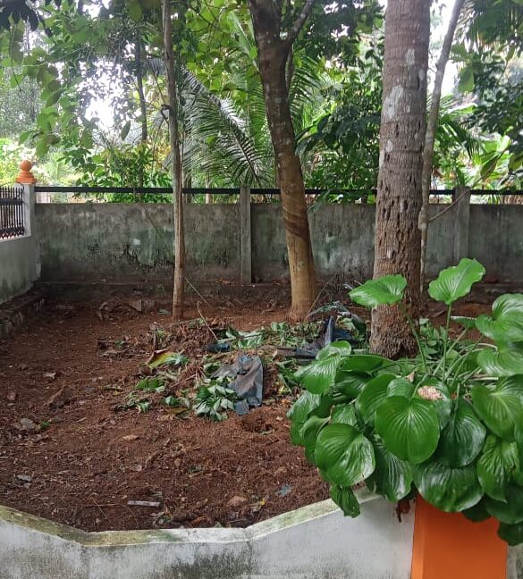 PHOTO-2023-11-21-18-57-45