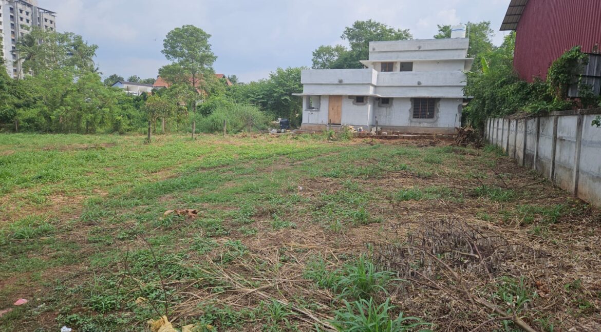 pottore_plots_1